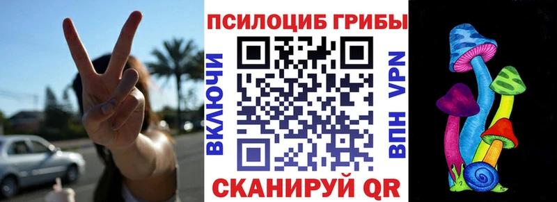 Галлюциногенные грибы Psilocybe мега ТОР Магас